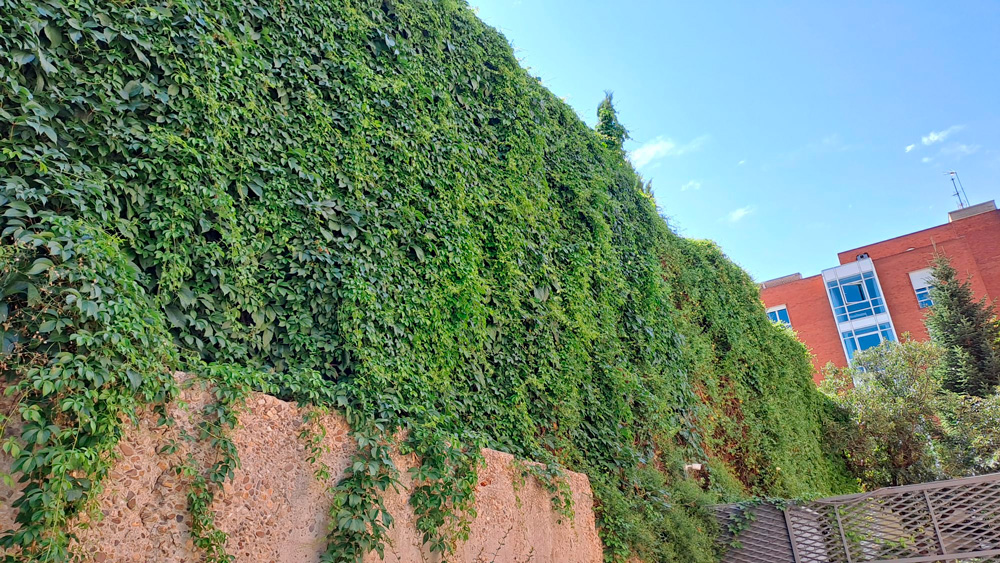 Cuidar Casa común: Vallado